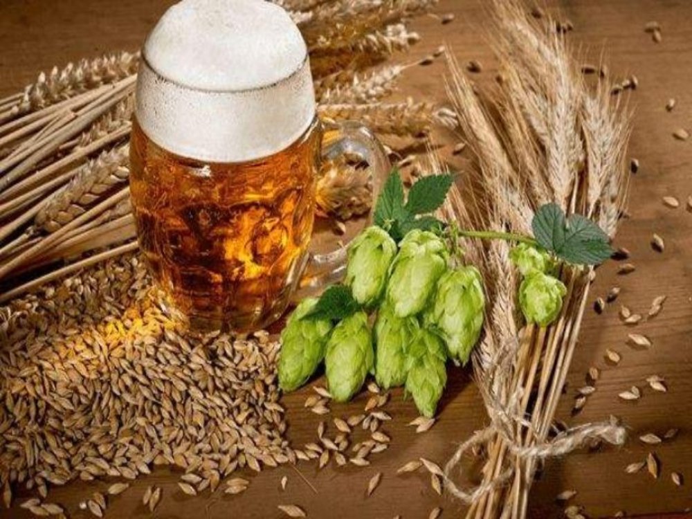 Ingredientes principales para la elaboración de cerveza