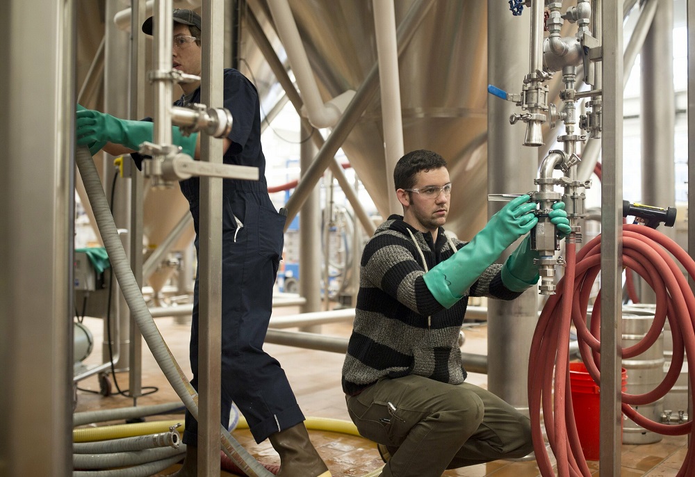 Factores de control de higiene en el proceso de elaboración de cerveza artesanal