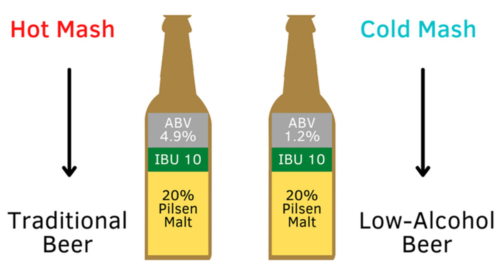 Cuál es la relación entre la concentración del mosto y la concentración de alcohol en la cerveza