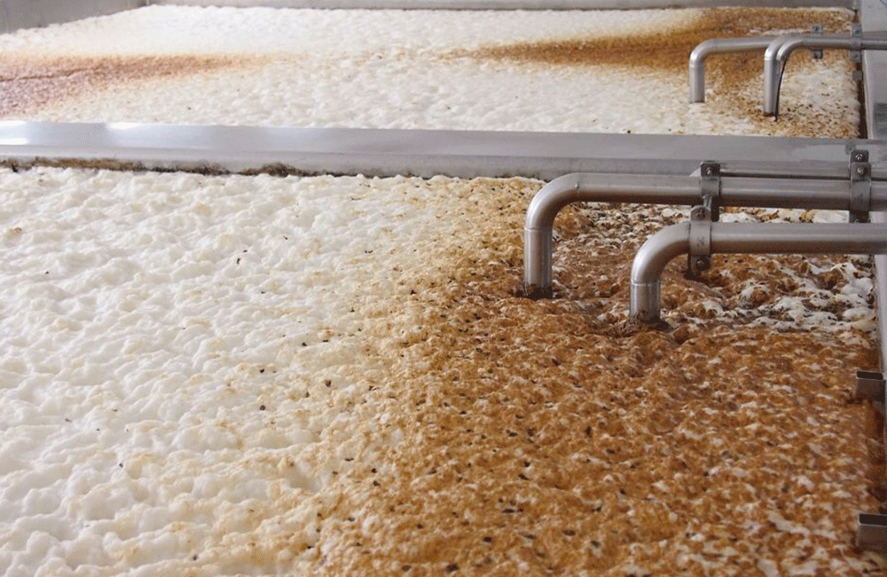 tanque de fermentación, equipo de cerveza